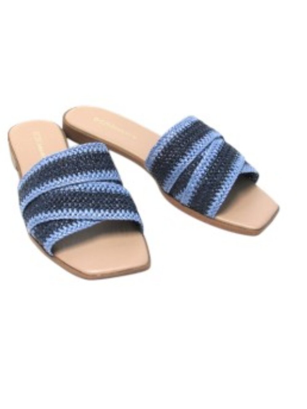 NIB BCBGeneration Lileen Flat Slide Sandal in Blue/Light Blue - Size 7M